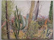 Pochote And Cacti  2009 22x30